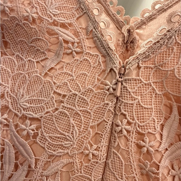 NWT Monique Lhuillier Blush Lace Maxi Dress Gown Sz 4 - Picture 5 of 10